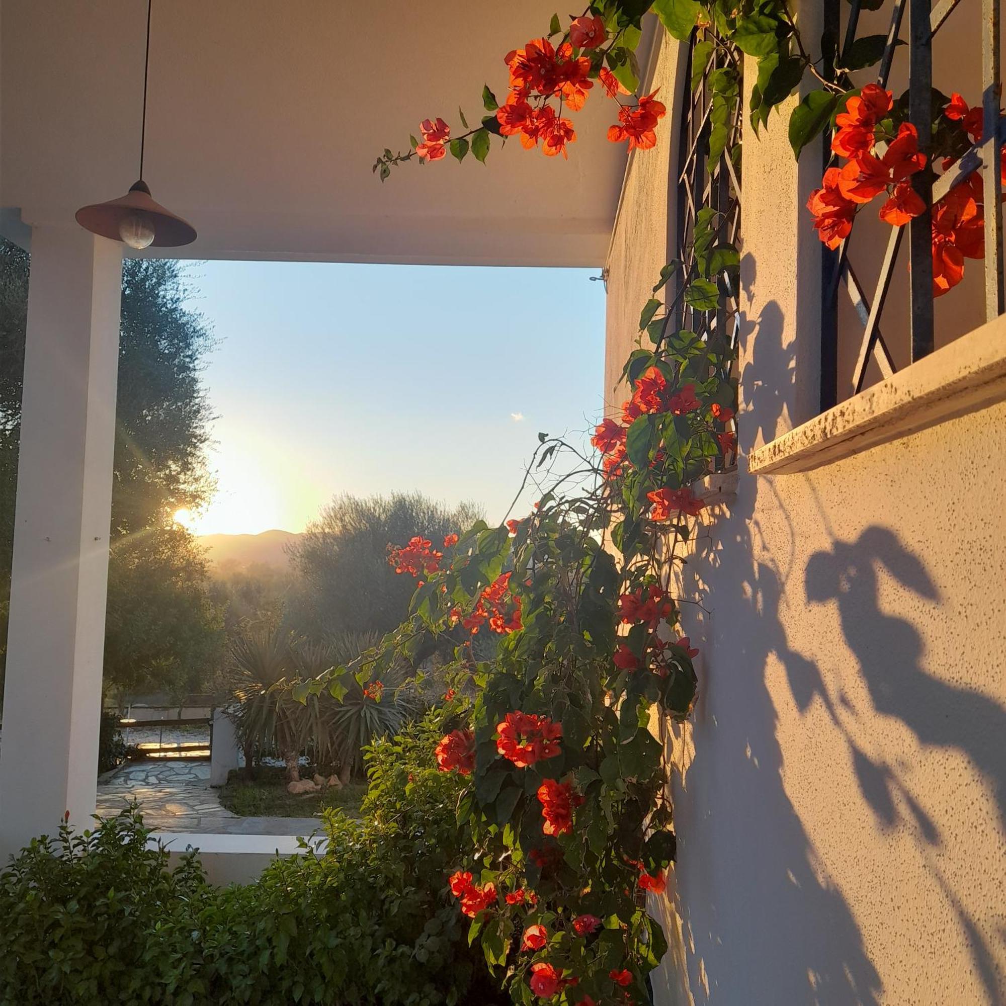 Agriturismo Palas De Serra Country Resort Onifai Exteriér fotografie